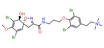 Purealidin B